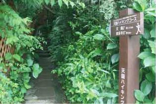 瑞泉寺側のハイキングコース入り口