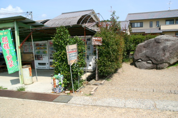 亀石と売店